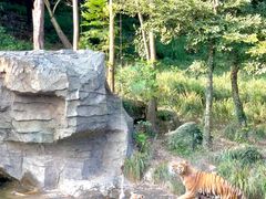 -宁波野生动物园