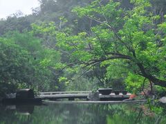 -云溪植物园