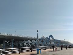 -演武大桥观景平台