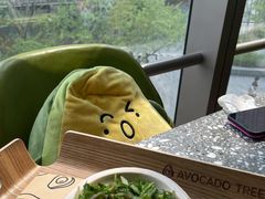 -油梨树AVOCADO TREE(望京店)