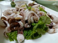 -碧丽宫大酒店(召稼楼店)