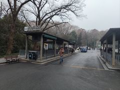 -灵谷景区