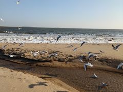 -金梦海湾浴场
