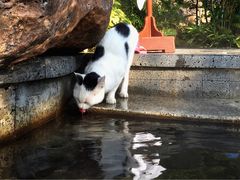 -广州锦绣香江度假别墅