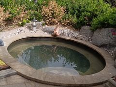 -悦隆庄温泉度假酒店