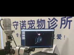 -守诺宠物医院·眼科· 神经外科·爬宠专科(虹口店)