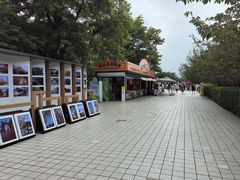 -旅顺博物馆