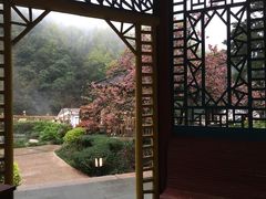 -黄山温泉国际旅游度假区
