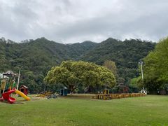 -天台国家森林公园水上茶乡九鹏溪
