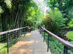 -云溪植物园