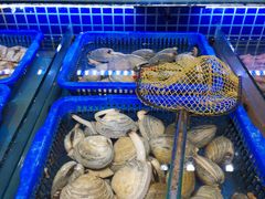 水产区-必点海鲜·鲅鱼水饺(鞍山西道店)