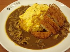 -COCO壱番屋(北京平安国际金融中心店)