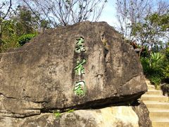-深圳仙湖植物园