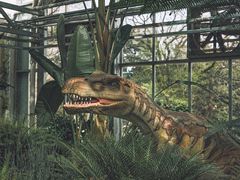 -国家植物园南园