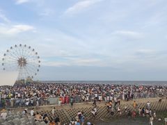 -奉贤海滩