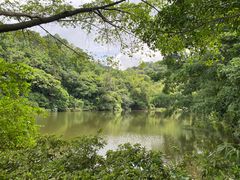 -西樵山风景名胜区-天湖公园