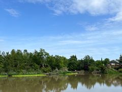 -桤木河湿地公园