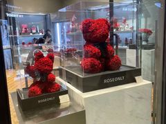 -ROSEONLY诺誓(青岛万象城店)