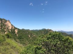 -大岭沟猕猴桃谷风景区