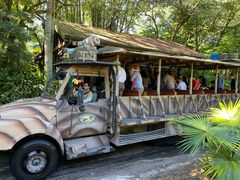 -奥兰多迪士尼动物王国乐园