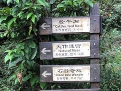 -祁门牯牛降观音堂风景区