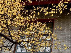 -四川大学(望江校区)