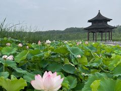 -江苏三台山国家森林公园