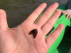 -雅鲁激流探险漂流