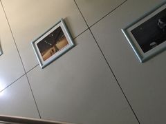 -北京观赏动物医院·24小时大型综合·猫专科·异宠专科