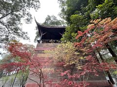 -桂湖森林公园