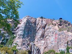 -西霞口神雕山野生动物世界