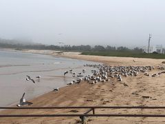 -海驴岛(荣成市)