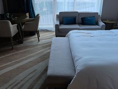 -圣爵菲斯大酒店(长沙世界之窗店)