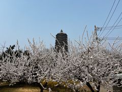 -玲珑塔公园