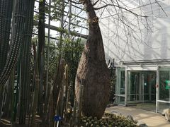 -南山植物园