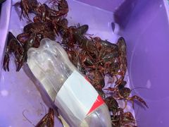 -运德成·天津老味烧烤(广开二马路店)