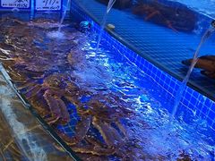 -驻海渔市(置信店)