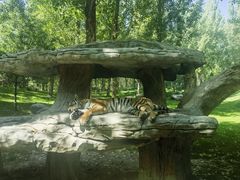 -北京野生动物园