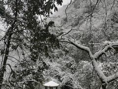 -西岭雪山大飞水景区