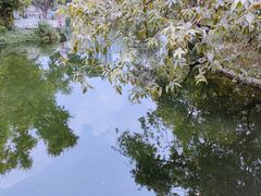 -晓港公园