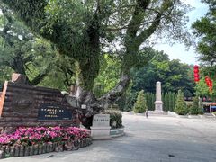 -潮镇老尾牛杂(环城西路店)