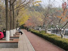 -大连植物园