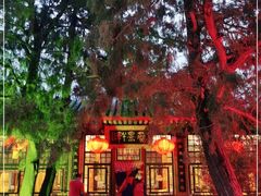 -白家大院·王府宫廷菜(苏州街店)