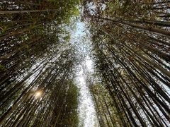 -海心沙亚运公园