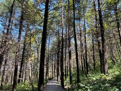 -白草畔自然风景区