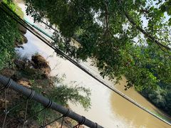 -南宁良凤江国家森林公园