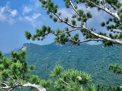 -少华山国家森林公园