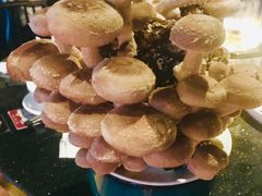 -捞王锅物料理(凯旋路店)