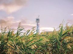 -上海吴淞炮台湾国家湿地公园