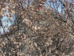 -终南山南五台景区